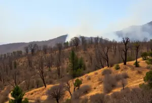 Devastated Malibu landscape after the Palisades Fire