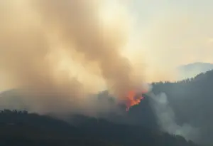 Wildfire in Los Angeles County